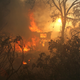 Illustration for article titled How Wildfires Are Fought And What You Can Do If One Threatens You